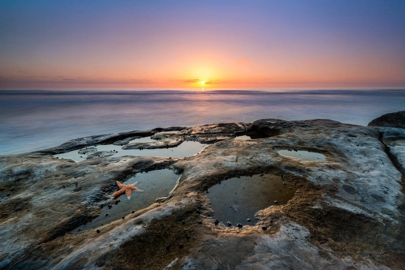 Top 5 Activities for Toddlers in Encinitas — Visit encinitas