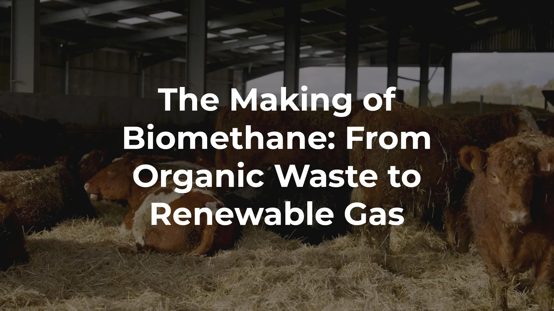 The Making of Biomethane: From Organic Waste to Renewable Gas