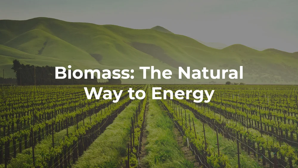 NEWS — Acorn Bioenergy