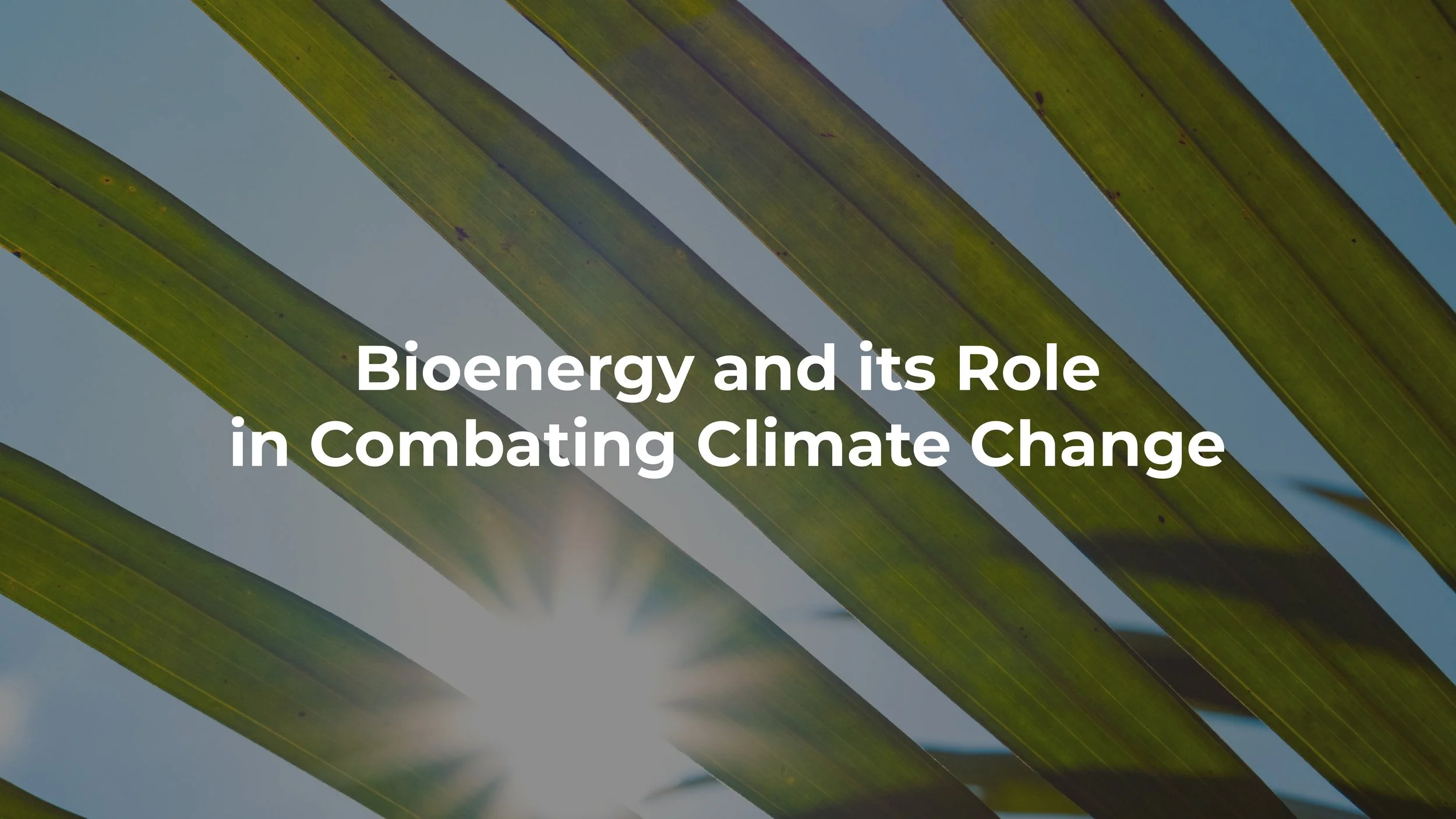 Bioenergy and its Role in Combating Climate Change