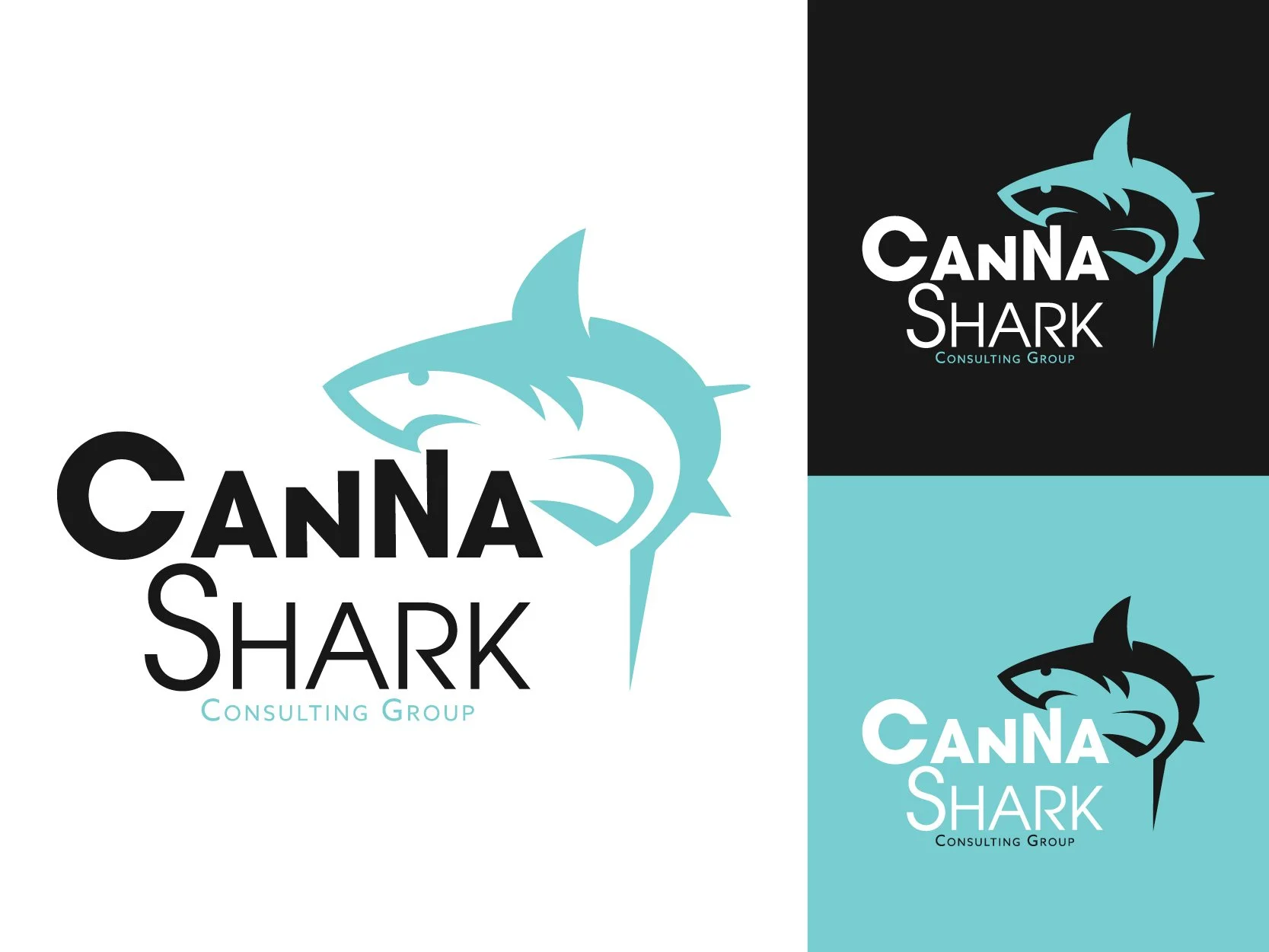 CannaShark-Presentations-1jpg.jpg