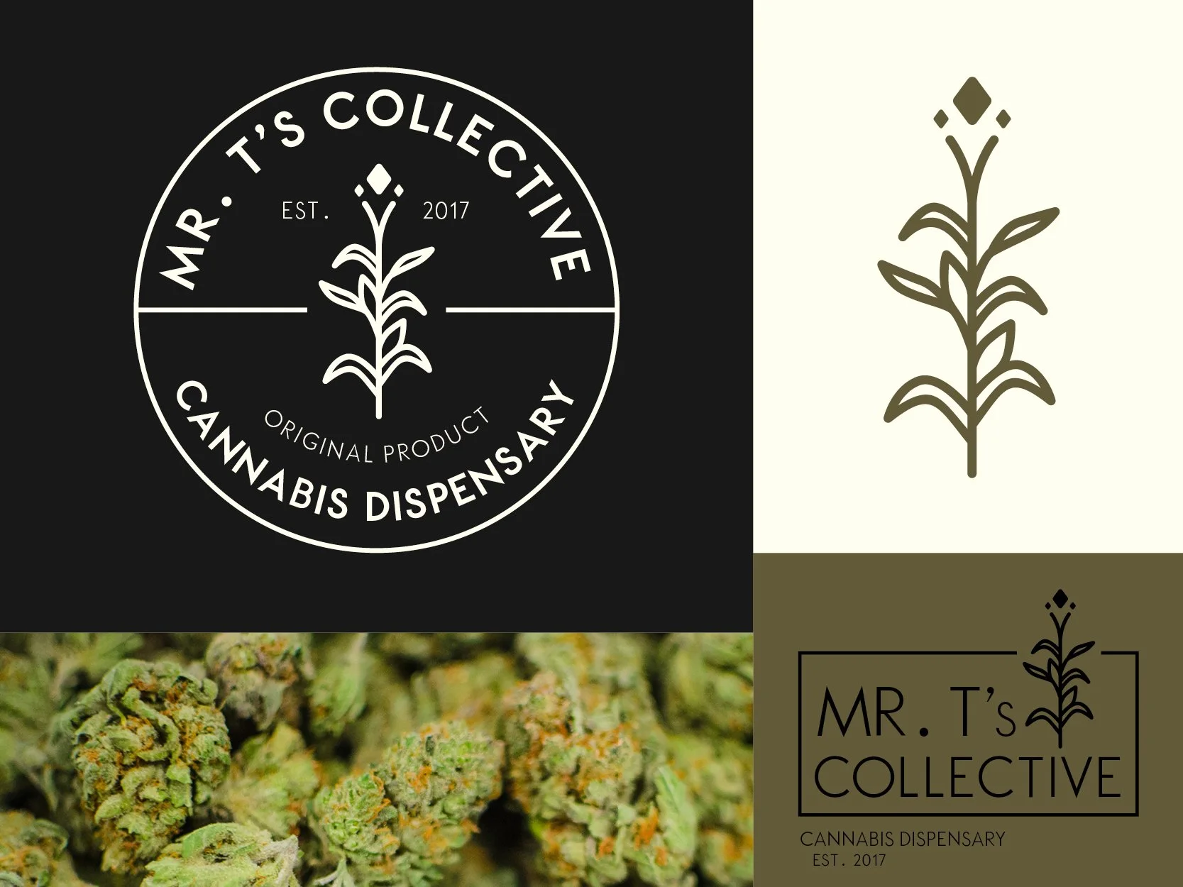 Mr. T Presentations - 1.jpg