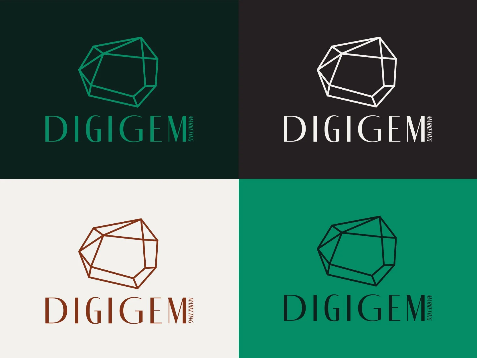 DigiGem-Presentations3.jpg