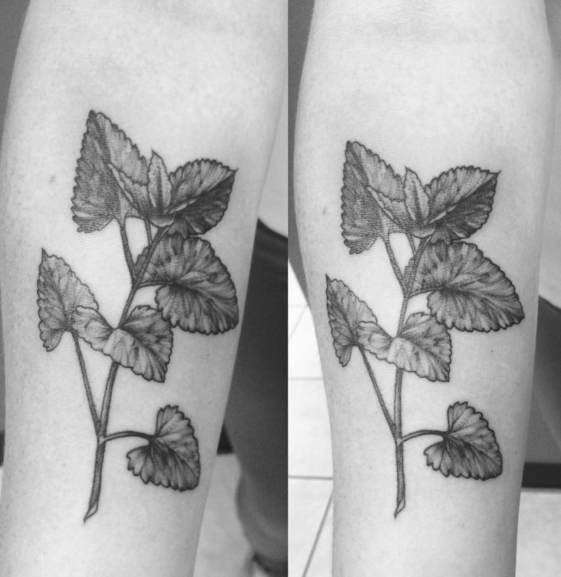 Screen Shot 2021-05-11 at 8.28.18 PM.png