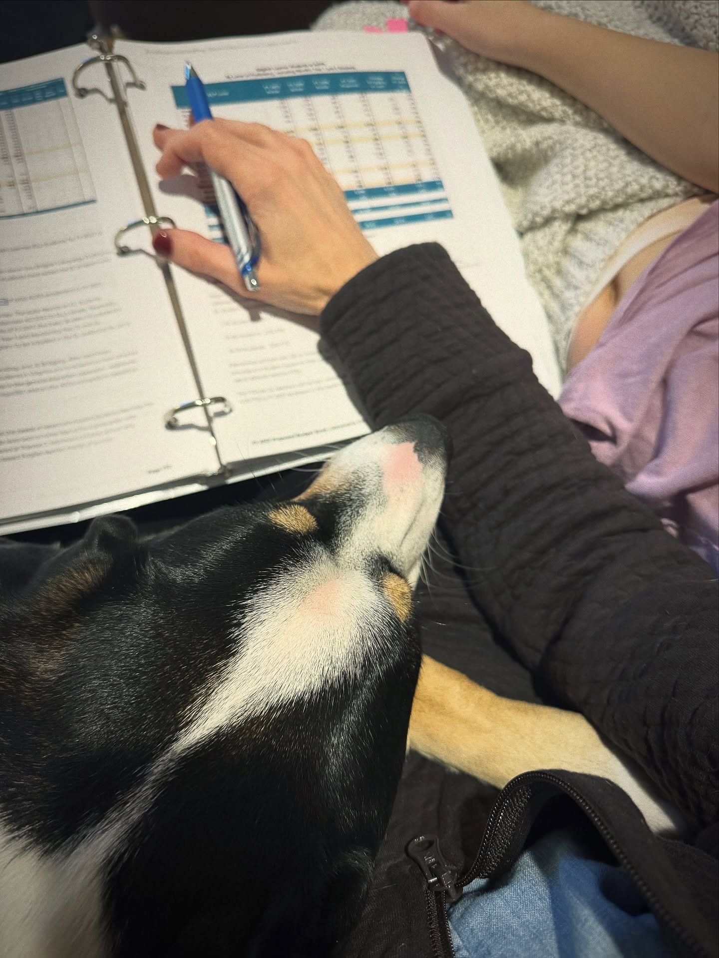 Snow (ice) day snuggles and FY27 Budget reading. Virtual hearing and budget work session tomorrow at 6 PM. Stay warm!