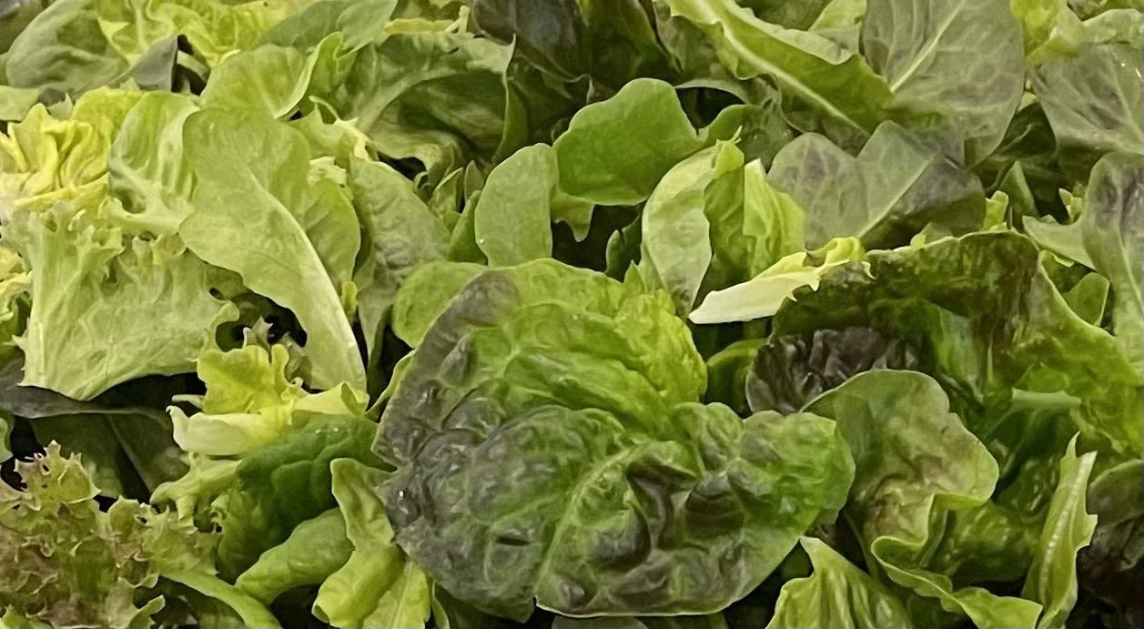 Salad Greens.JPG