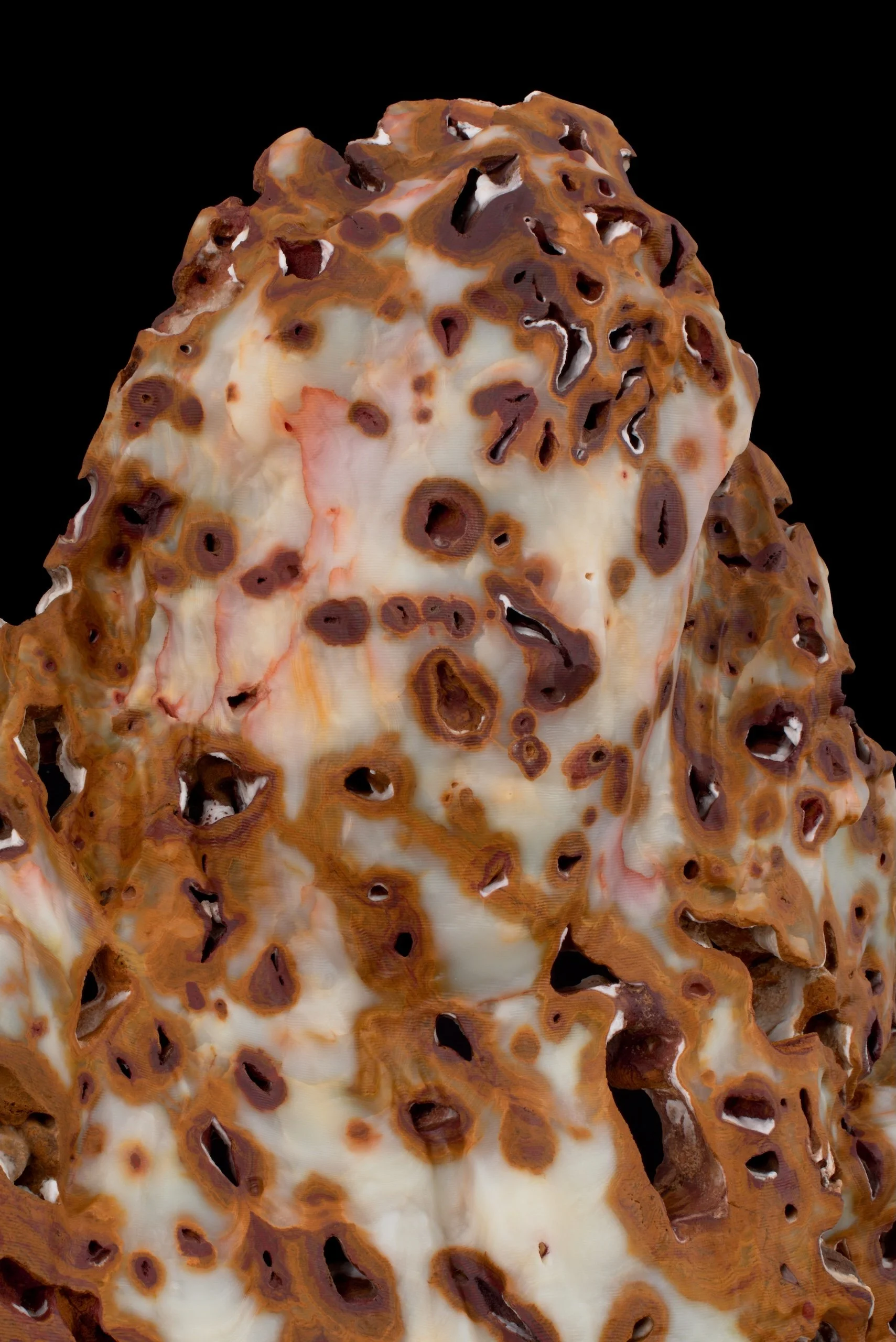 BXB5_A Natural History Landscape Still Life Genre Portrait Scholars Rock_Detail.jpg