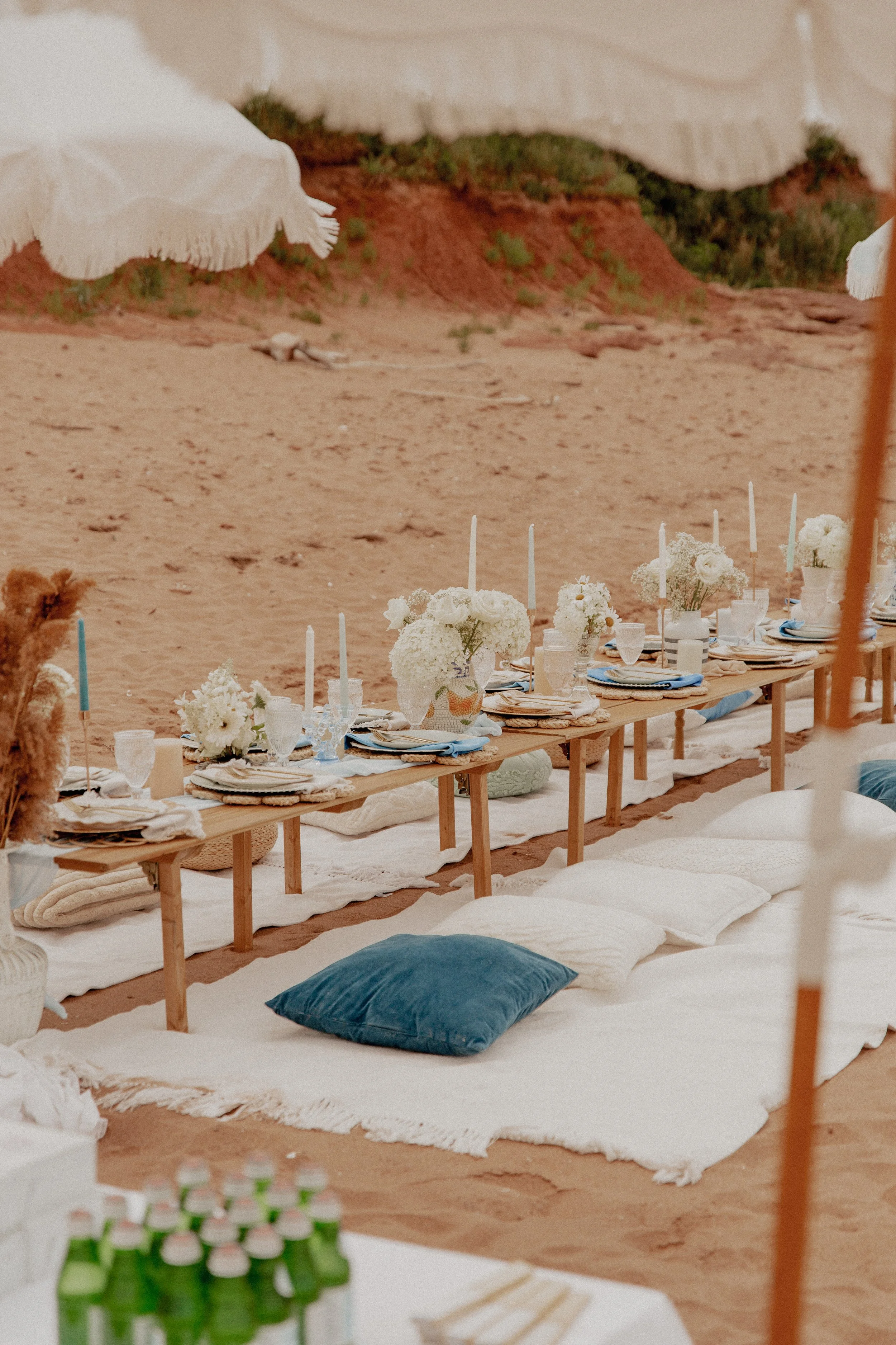 picnic testimonial and reviews, pop up, review, picnic pei