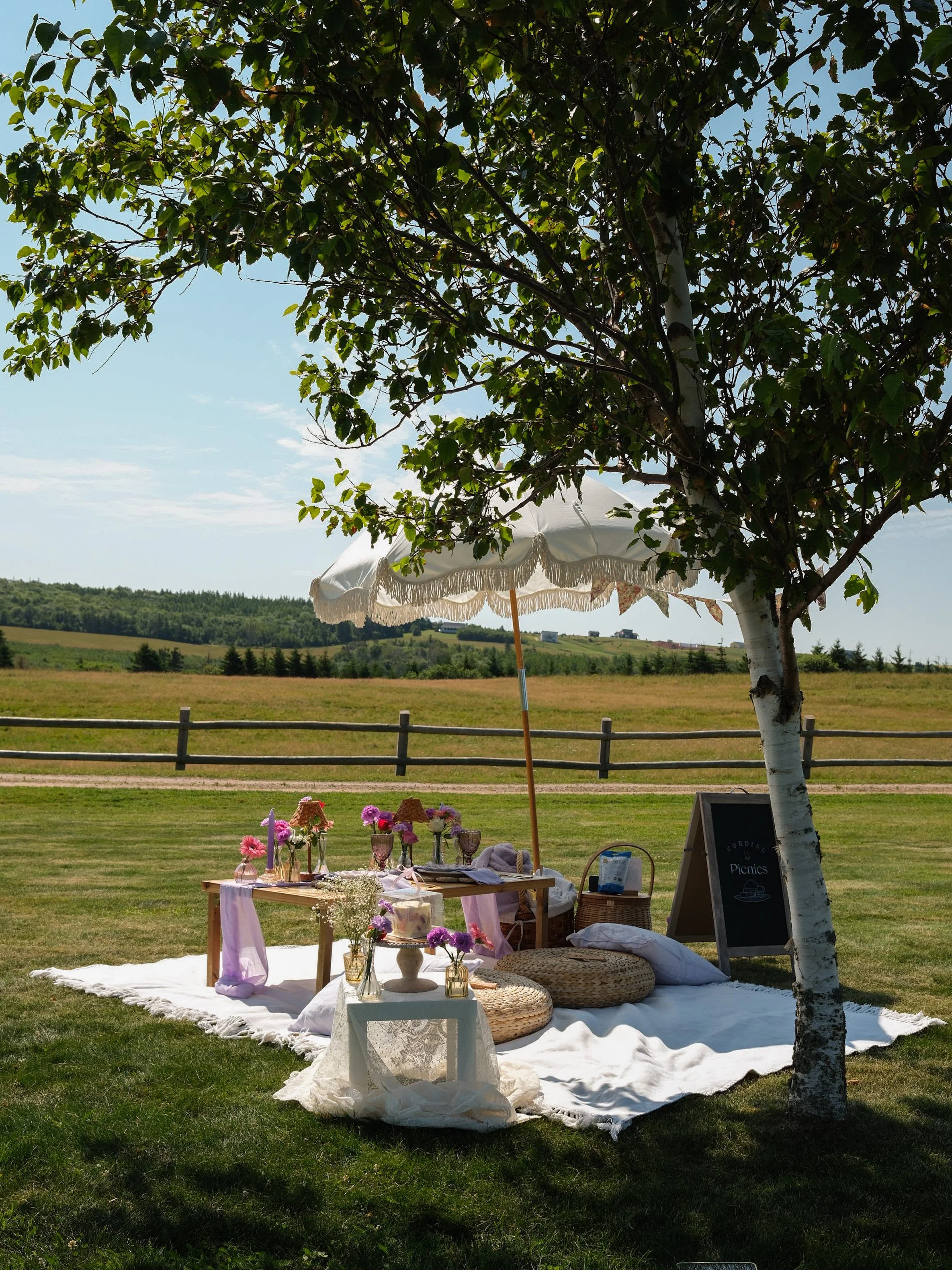 A beach-themed table setup with white flowers, candles, plates, and glasses, on a low wooden table with cushions and blankets on sandy ground, under large white umbrellas.