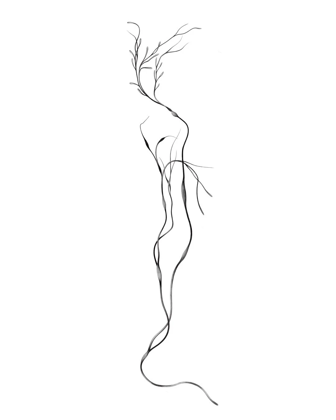 kelp
  whole limb, back, or torso wrap 
  open to smaller adaptations 