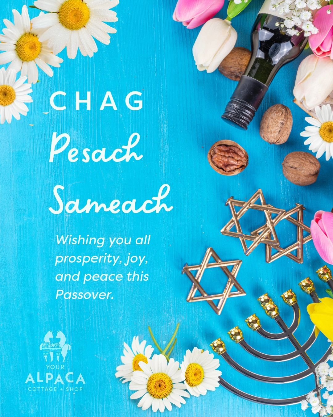 Chag Pesach Sameach! Sending my hopes that the arrival of Passover and Spring brings you new energy and inspiration for the coming year. ✨🌼💛

For those who don't commemorate Passover, a few Passover basics: Passover commemorates the Hebrews&rsquo; 