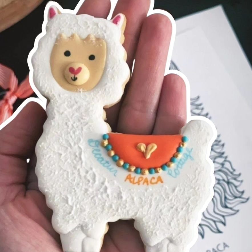 Who wouldn't love a custom Alpaca-themed cookie greeting you upon your arrival? Bueller? Bueller? ... I didn't think so 😉

Cookies by @cookiesbykacie ~ an amazing local baker whose cookies have delighted and pleased Your Alpaca Cottage guests for ye