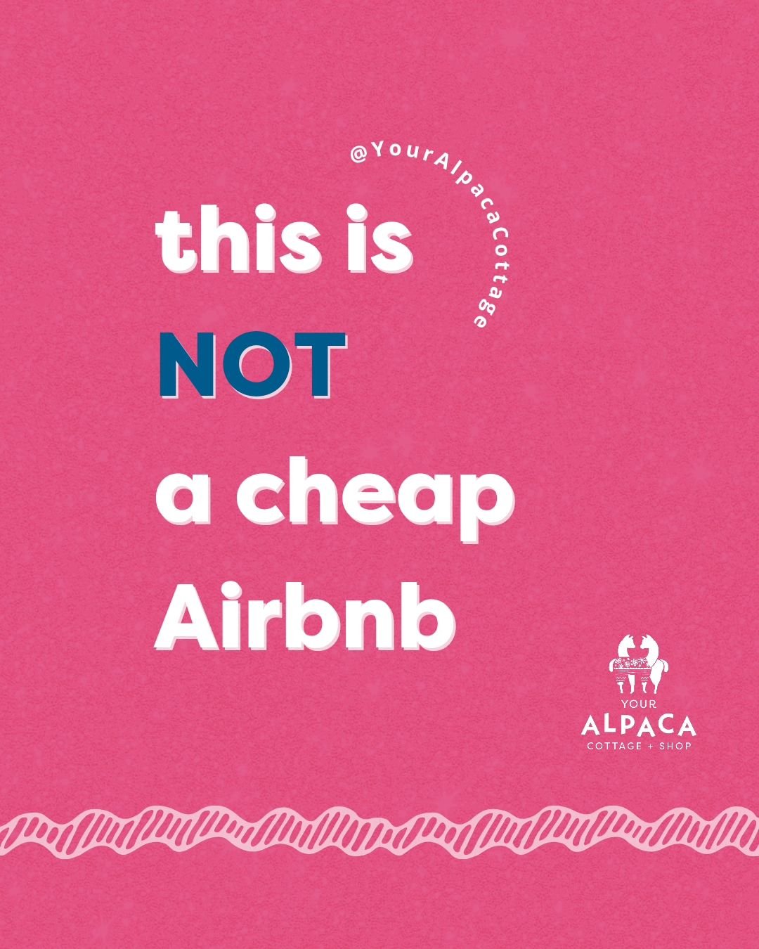 I make no apologies about not being a cheap Airbnb because Your Alpaca Cottage is not a place to crash for the night; it's an unforgettable experience that's never been about cutting corners. 👇🏼

At Your Alpaca Cottage, I host with heart &amp; gene
