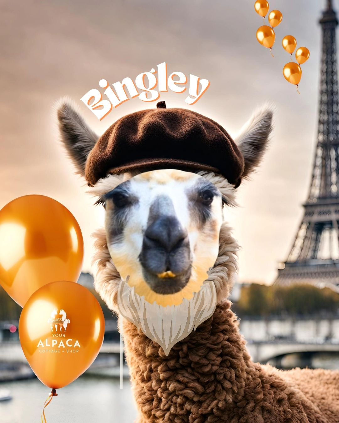 Bonjour! This is what happens when I fiddle with a little AI and a little @canva ~ I created one for each of the Your Alpaca Cottage herd members! 

Mr. Bingley is the youngest member adopted into our herd. He&rsquo;s a Huarizo which means he is BOTH