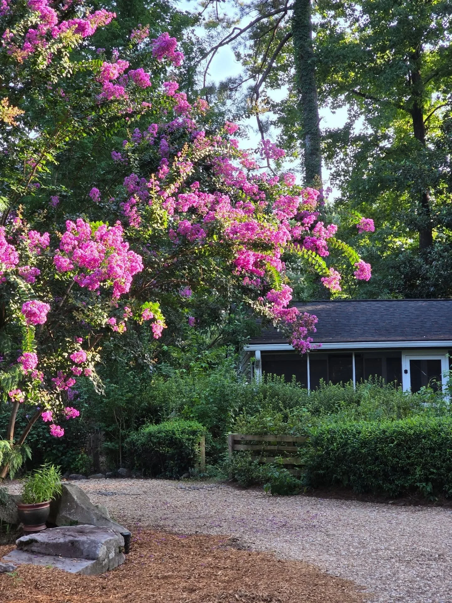 What's one of the most fun things about a garden? It is seeing all the amazing things it does over the course of a year! 🌿

#YourAlpacaCottage
#AlpacaSanctuary
#BookNow
#AlpacasInclusionActivism
⁣

#localadventures #Staycation #Alpacalove #lgbtqfrie