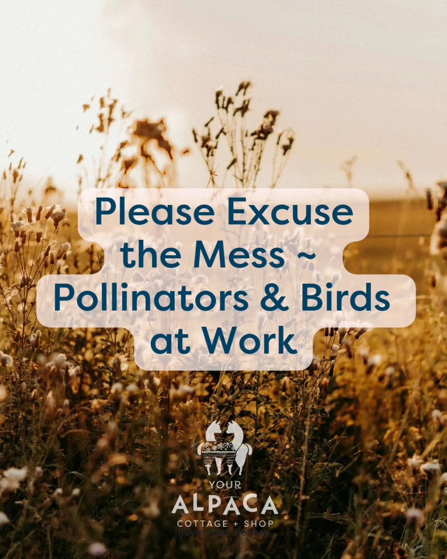 This Fall, resist the urge to rake up all the leaves and deadhead flowers. Instead, rake your leaves into your garden beds to act not only as a natural and free mulch for your garden, but fallen leaves create a winter habitat for all types of critter