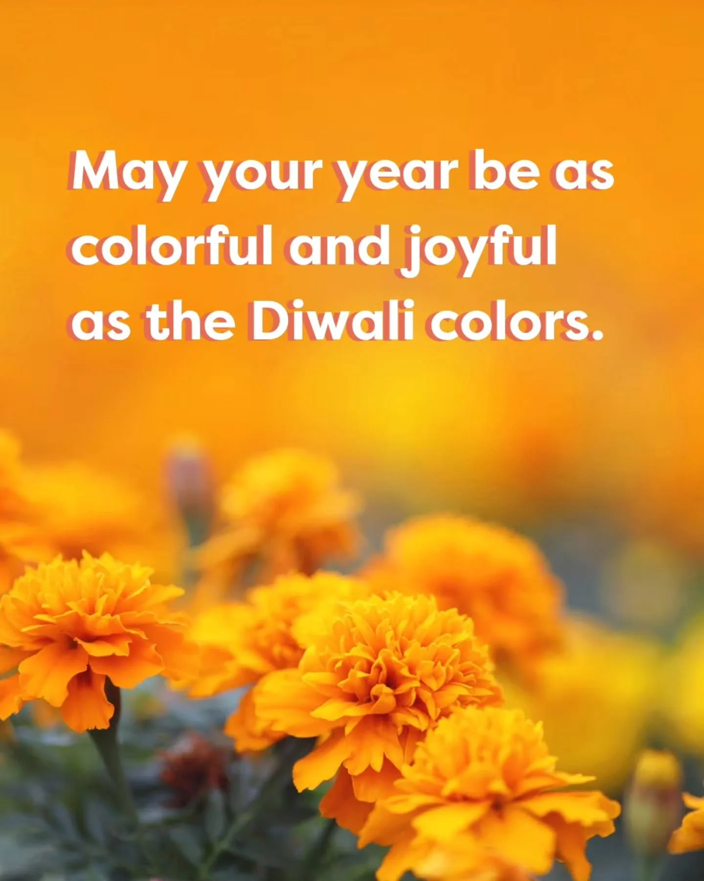 Let's celebrate the victory of light over darkness and hope over despair. Happy Diwali!

#YourAlpacaCottage #Diwali
#AlpacaSanctuary
#BookNow
#AlpacasInclusionActivism
⁣

#localadventures #Staycation #Alpacalove #lgbtqfriendly #inclusive #antiracist 
