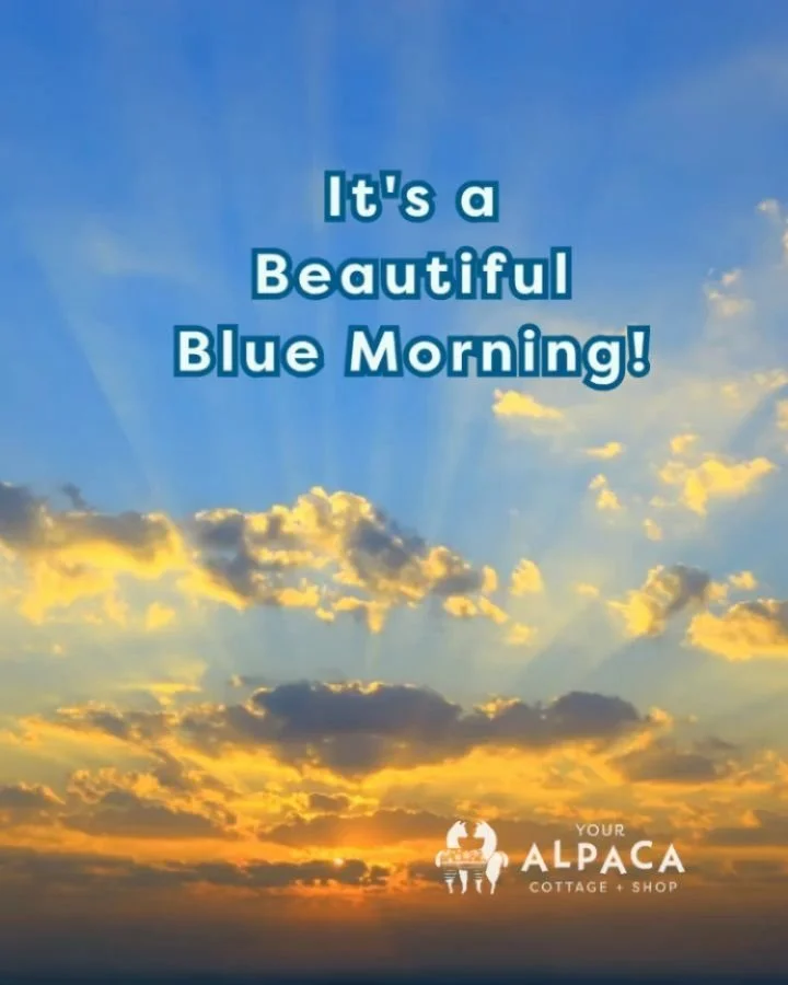 It's a beautiful BLUE morning!!! Rebuking the fascist regime currently in the Oval, voters in races across the country backed Democrats, including in New York&rsquo;s mayoral race and contests for governor in New Jersey and Virginia!

Down the ballot