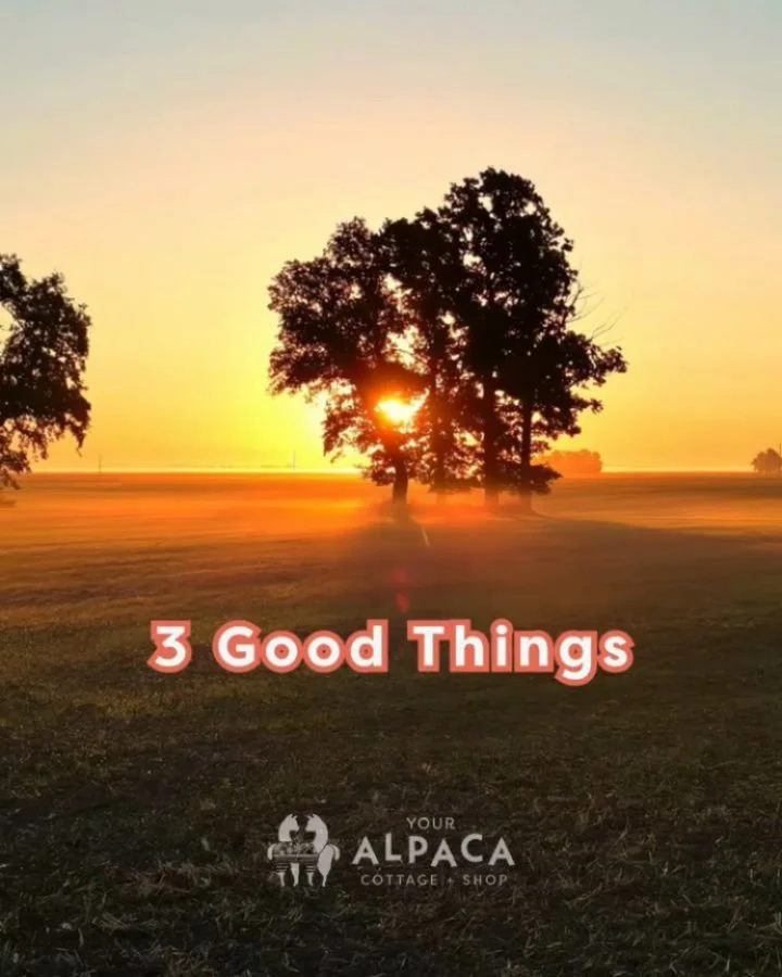 I get a newsletter from Emily Gaines Demsky titled &quot;3 Good Things&quot;. The truth is I don't remember subscribing to this newsletter and I'll admit I thought about unsubscribing because I get way too much email. Every time I read it though I'm 