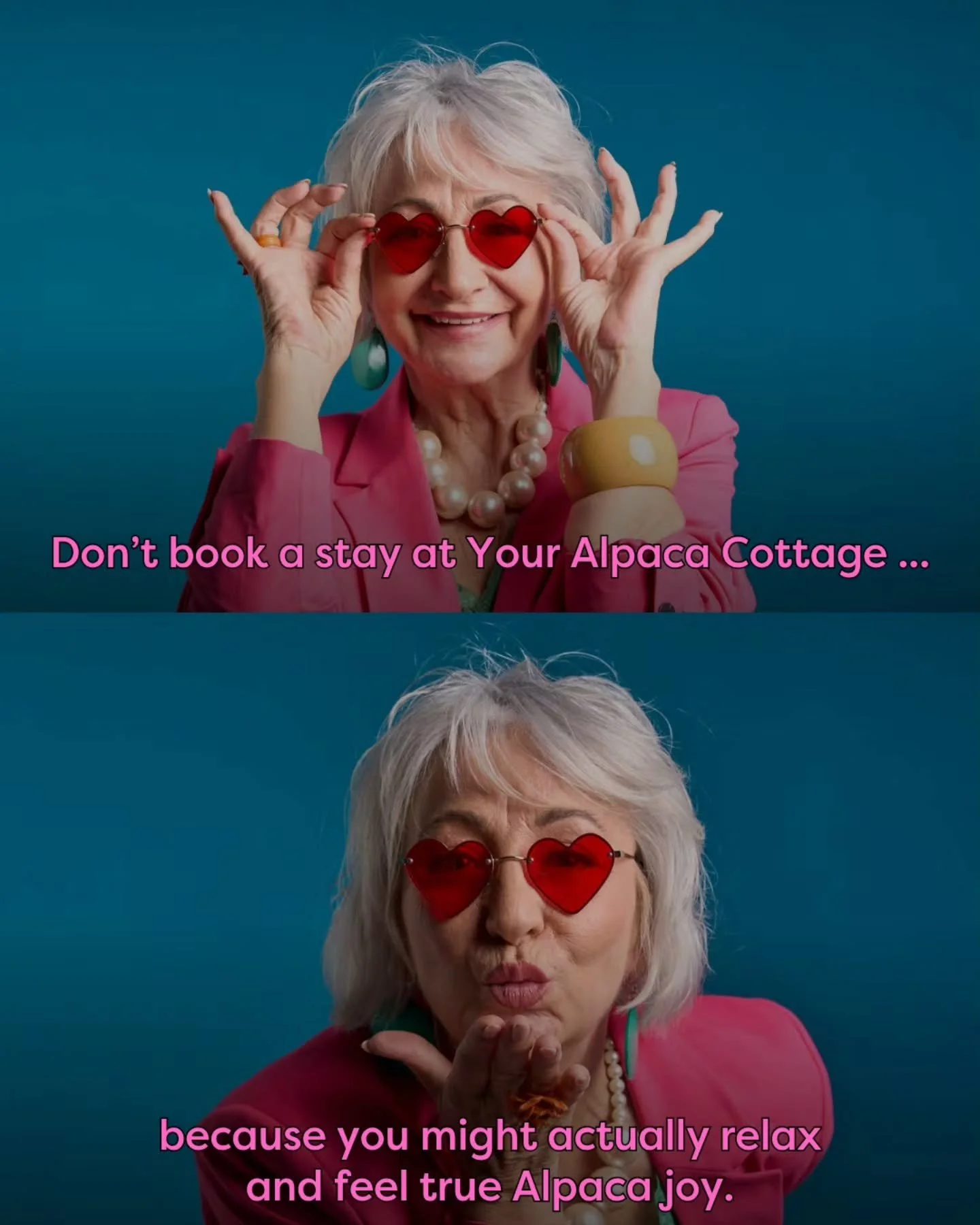 ‼️ WARNING: Booking a stay at Your Alpaca Cottage might cause you to relax and experience joy visiting the Alpacas. 

As the host of a short term rental / Airbnb rated in the top 1% worldwide, I feel it's my job to ensure you know what you're getting