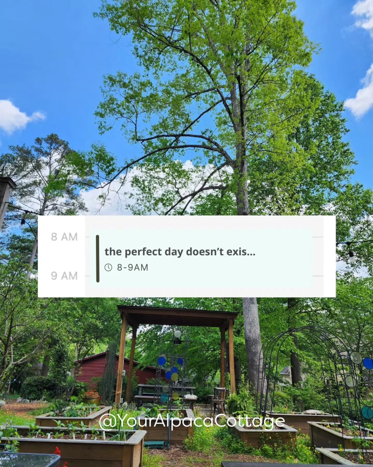 A stay at Your Alpaca Cottage will leave you rested, relaxed &amp; rejuvenated as you experience the calm of the cottage and joy of visiting the Alpacas. All the better when you bring your favorite companion!

As the host of a short term rental / Air