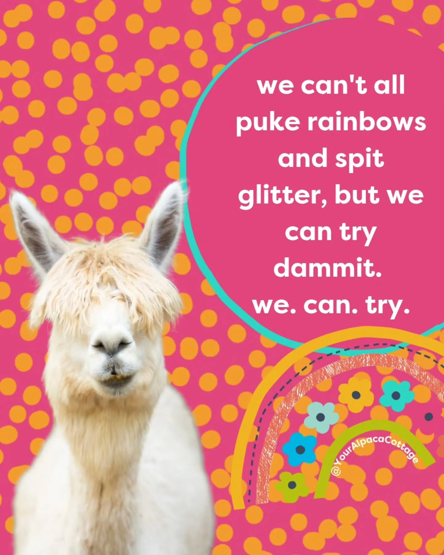 Somehow it seems it may be more important now than ever to at least *try* puke rainbows and spit glitter. If you can't do that, at least be kind. 😉✨

#YourAlpacaCottage
#AlpacaSanctuary
#BookNow
#AlpacasInclusionActivism
⁣

#localadventures #Staycat