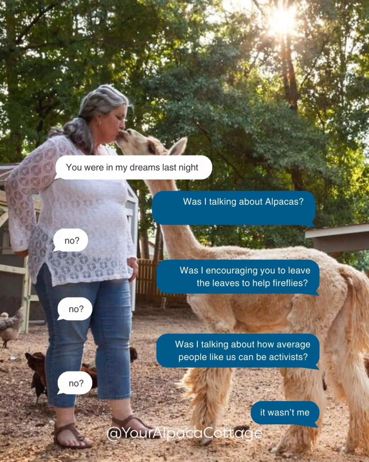 I'm nothing of not consistent 😉

#YourAlpacaCottage
#AlpacaSanctuary
#BookNow
#AlpacasInclusionActivism
⁣

#localadventures #Staycation #Alpacalove #lgbtqfriendly #inclusive #antiracist #transfriendly #allarewelcome #Superhost #Alpaca #Llama #Airbnb