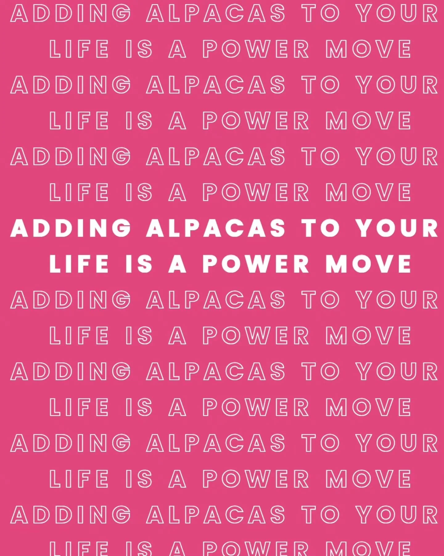 There's a reason we have a high percentage of repeat guests ~ an attentive host, extra amenities, being a Top 1% short term rental cottage, and absolutely adorable Alpacas! 🥰

Your Alpaca Cottage is a safe and inclusive place where everyone is respe