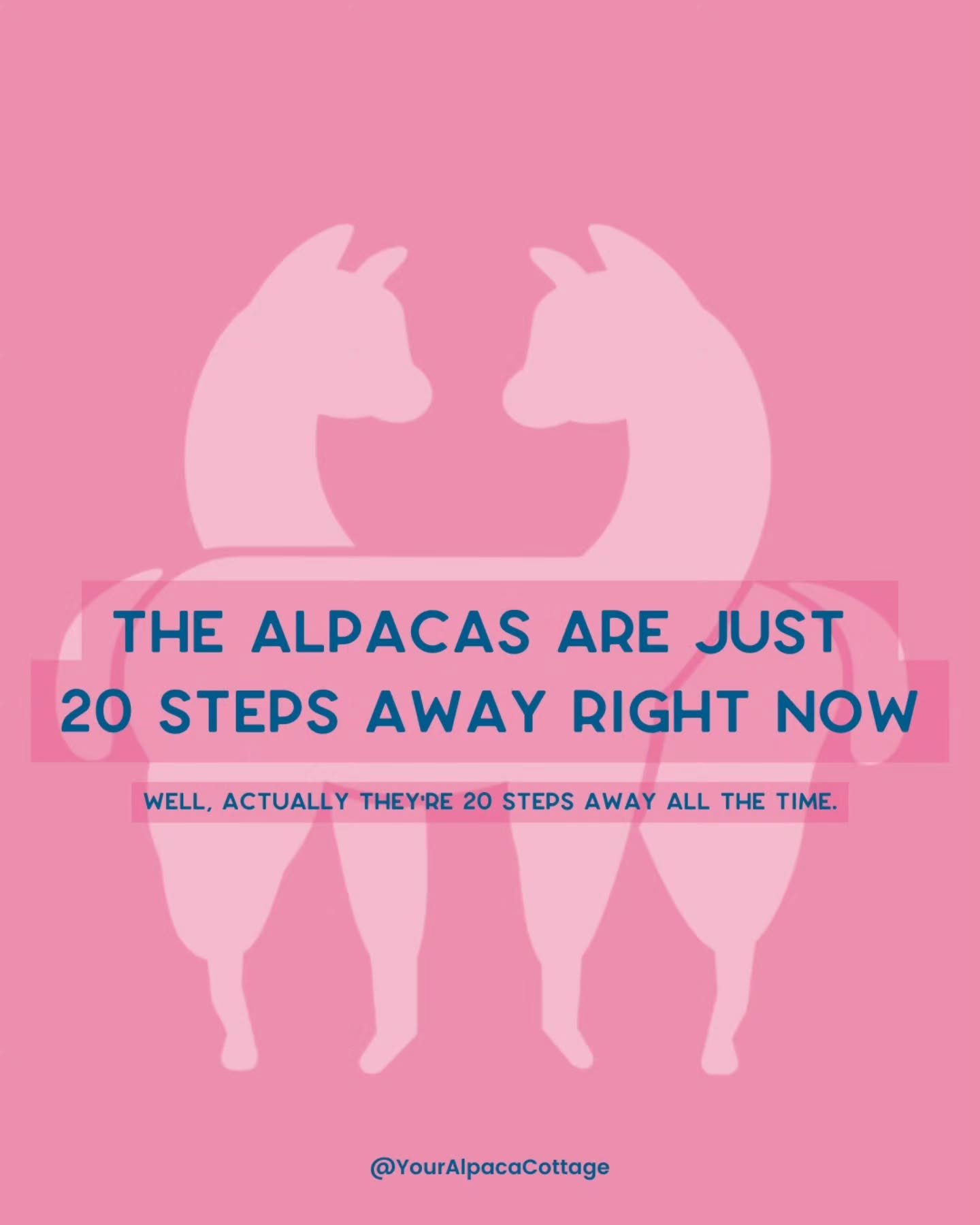 It's true! The Alpacas are just 20 short steps outside the cottage front door so you can visit them at any time during your stay at Your Alpaca Cottage!

Winter Pricing is in effect now, so it's a great time to book your stay 🥰

#YourAlpacaCottage
#