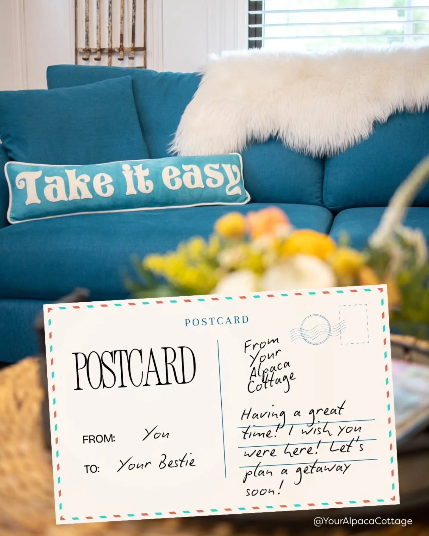 When you stay at Your Alpaca Cottage, not only will you have a wonderful time, but you will also think about booking your next stay! 

There's a reason we have a high percentage of repeat guests and I and the Alpacas are always glad to see them! ✨💛?