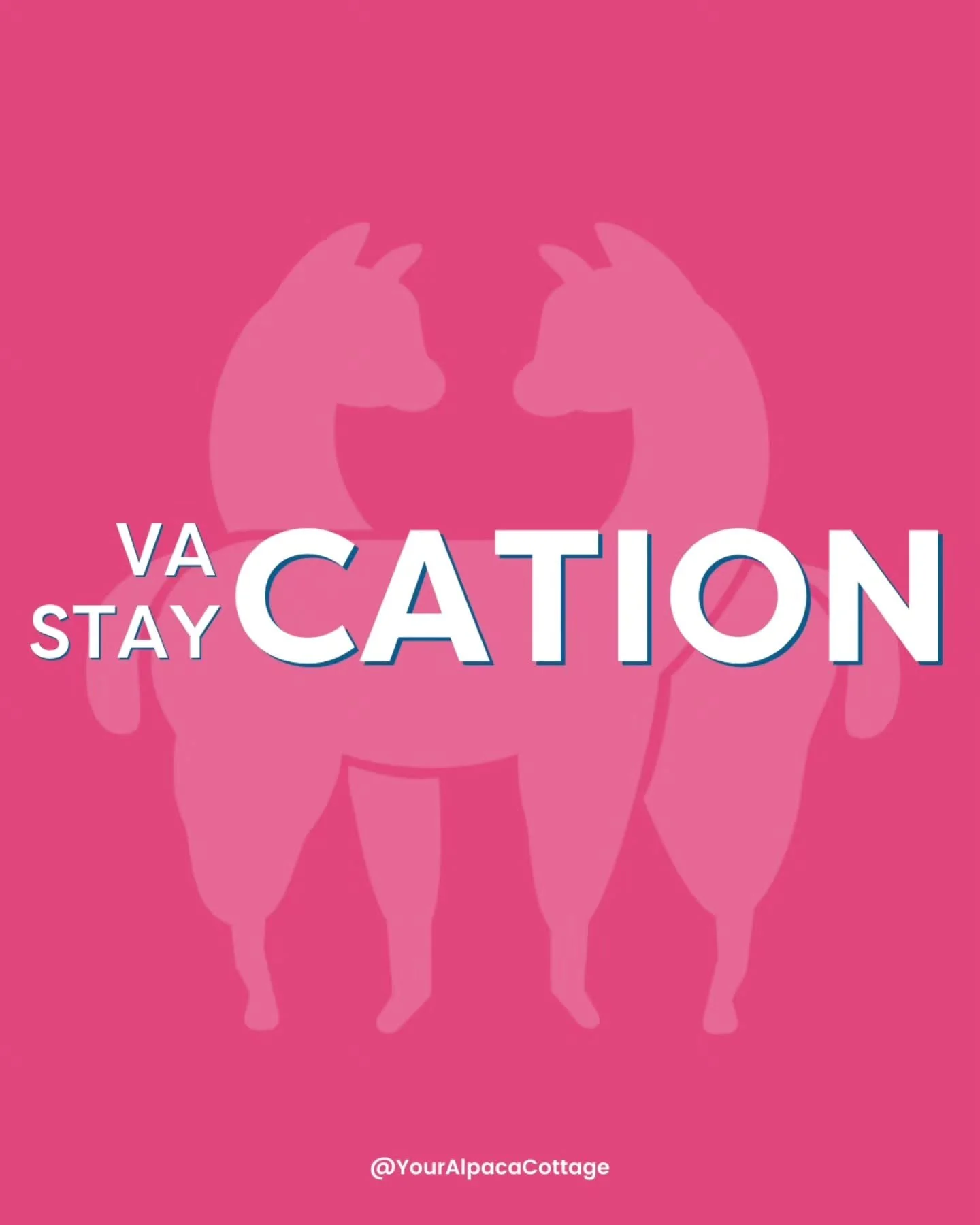 Fall and Winter are some of my favorite times of the year ~ the temperatures are cool and it's perfect weather for cuddling under an Alpaca fiber blanket and enjoying the Cottage porch!

January is fully booked and February is starting to fill up, so