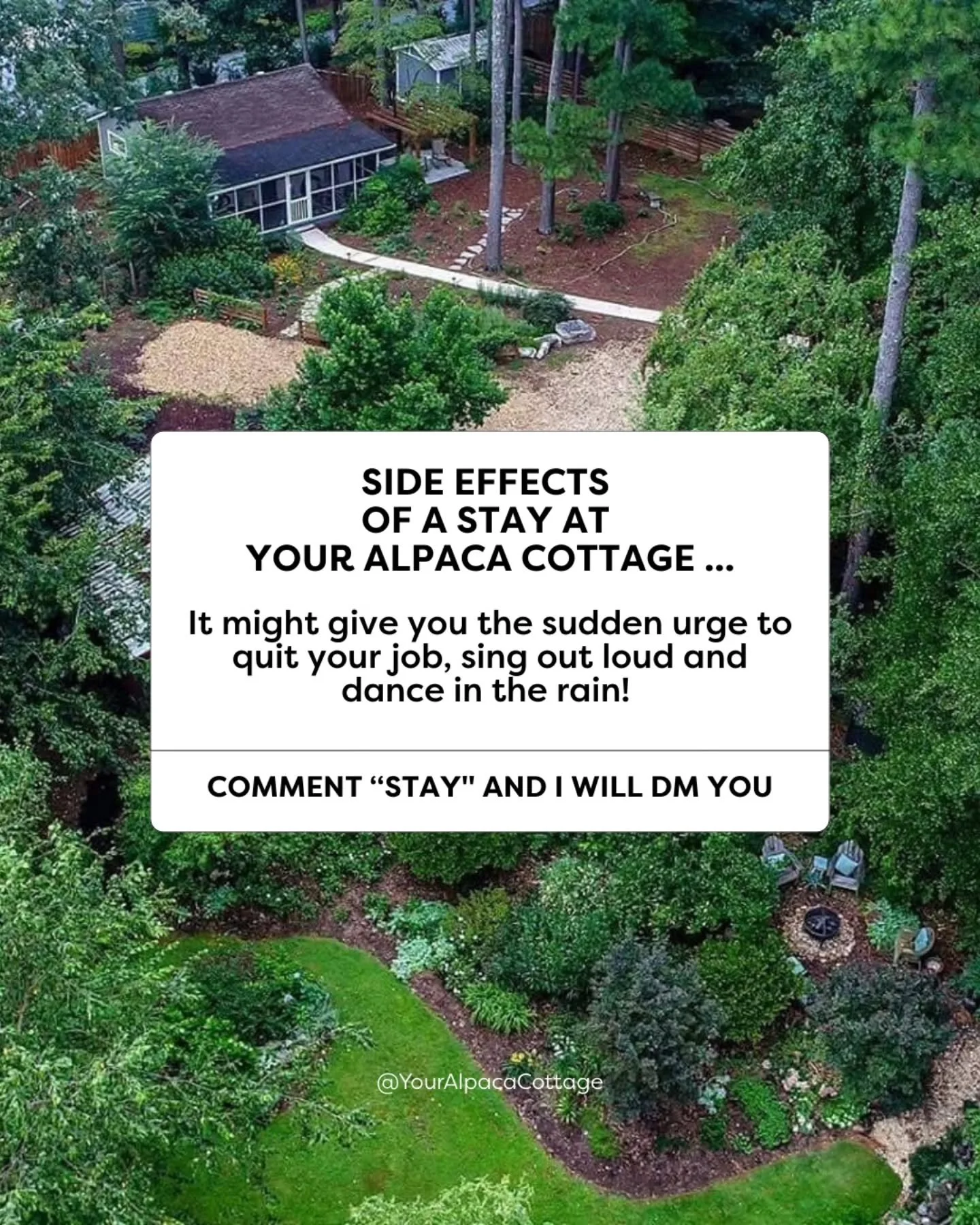 🤭 With Alpacas just 20 steps away from the cottage and a cottage that is in the top 1% of short-term rentals worldwide, you're going to feel giddy!

Winter pricing is in effect now and I look forward to hosting you!

#YourAlpacaCottage
#AlpacaSanctu