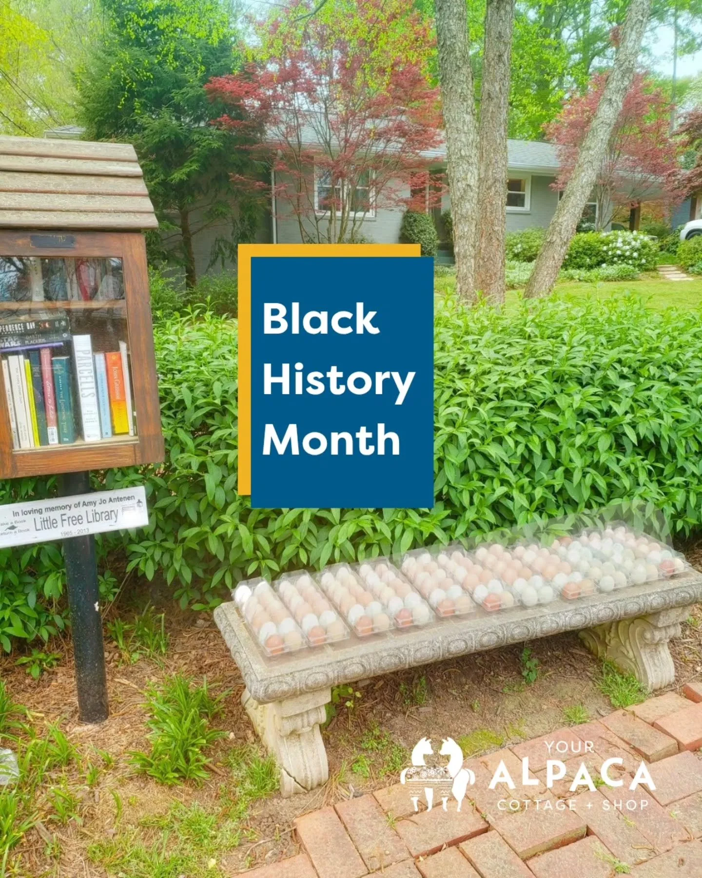 🖤 Black history is American history. This month, and always, we choose to seek out and tell the truth.

At Your Alpaca Cottage, we are committed to looking honestly and unblinkingly at the full history of Black History in the United States, includin