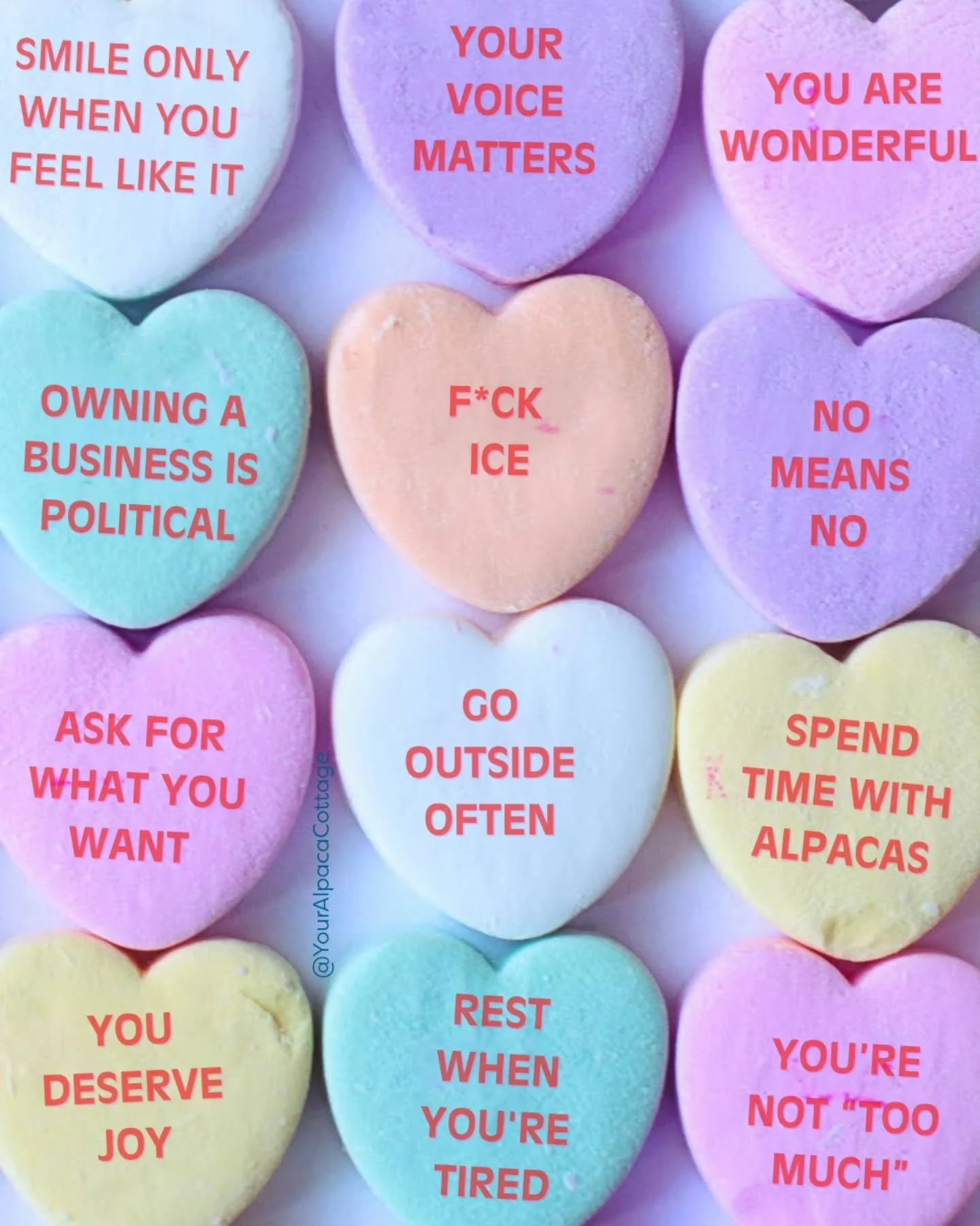 "The only thing more powerful than hate is love." Here's to loving others, loving yourself, and using that love as a force for good. 💜🩷🩵

#YourAlpacaCottage #LoveIsGreaterThanHate
#AlpacaSanctuary
#Alpaca
#AlpacasInclusionActivism
⁣