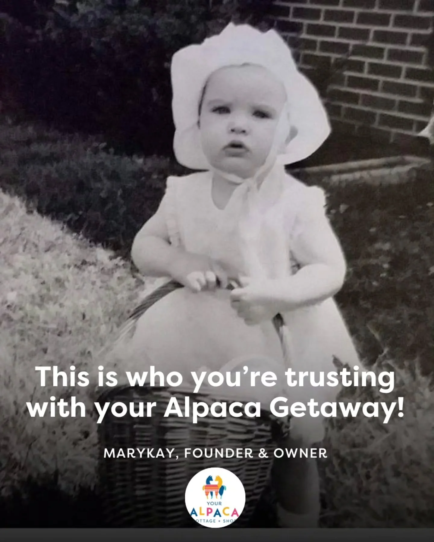 ⏰ It's been a really long time since I've done an introduction post, so I'm long overdue ! 
⁠
Hi y'all ~ my name is Marykay and I'm the founder of Your Alpaca Cottage, an Airbnb on an urban Alpaca sanctuary just outside Atlanta! 👋🏻💛🦙 

It's proba