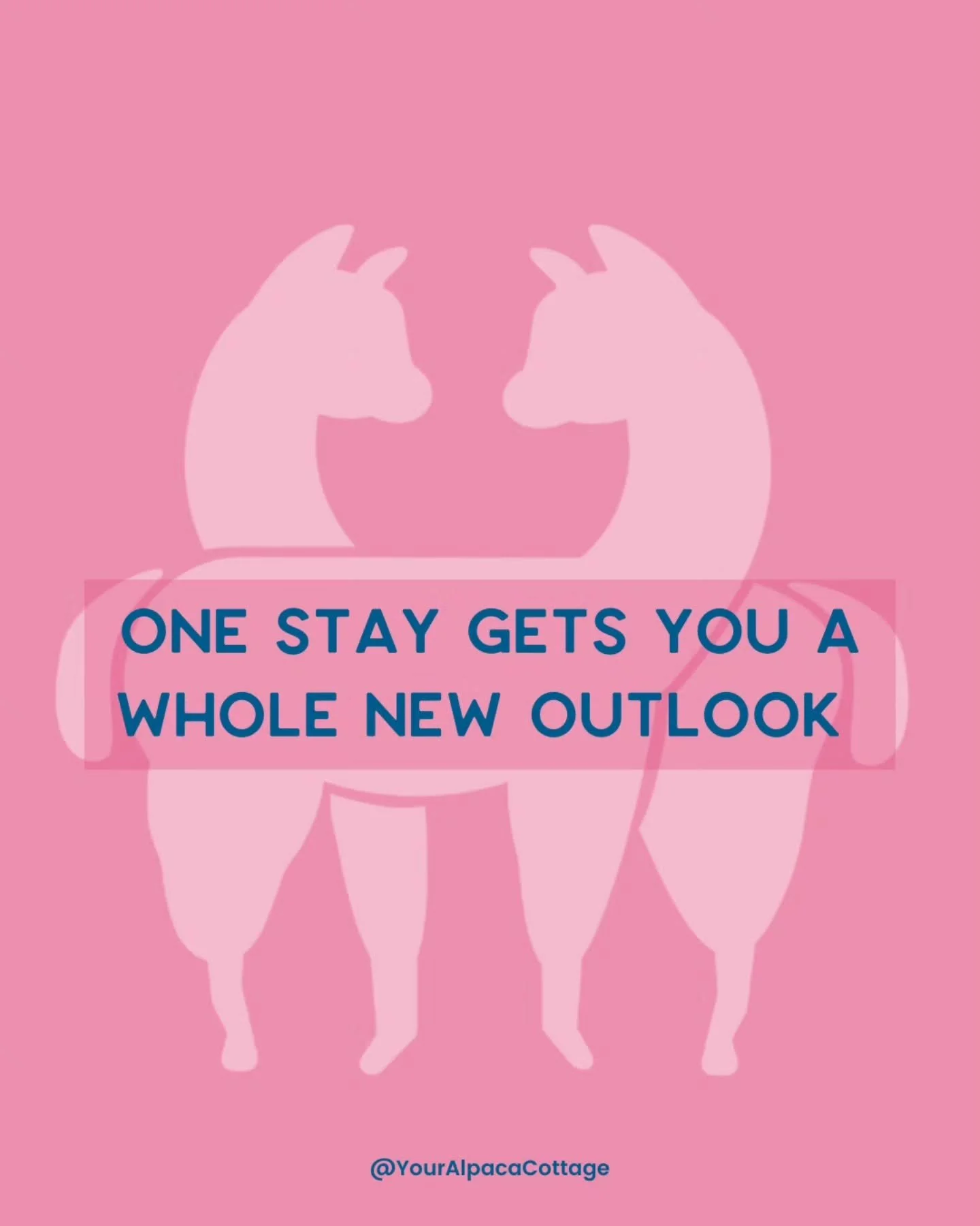 Plan ahead to use your vacation days! An Alpaca Getaway is the perfect way to use them with Alpacas, just 20 Short Steps from your getaway cottage! 

The rescue and adopted Alpacas at Your Alpaca Cottage are loved, curious, and just 20 steps from the