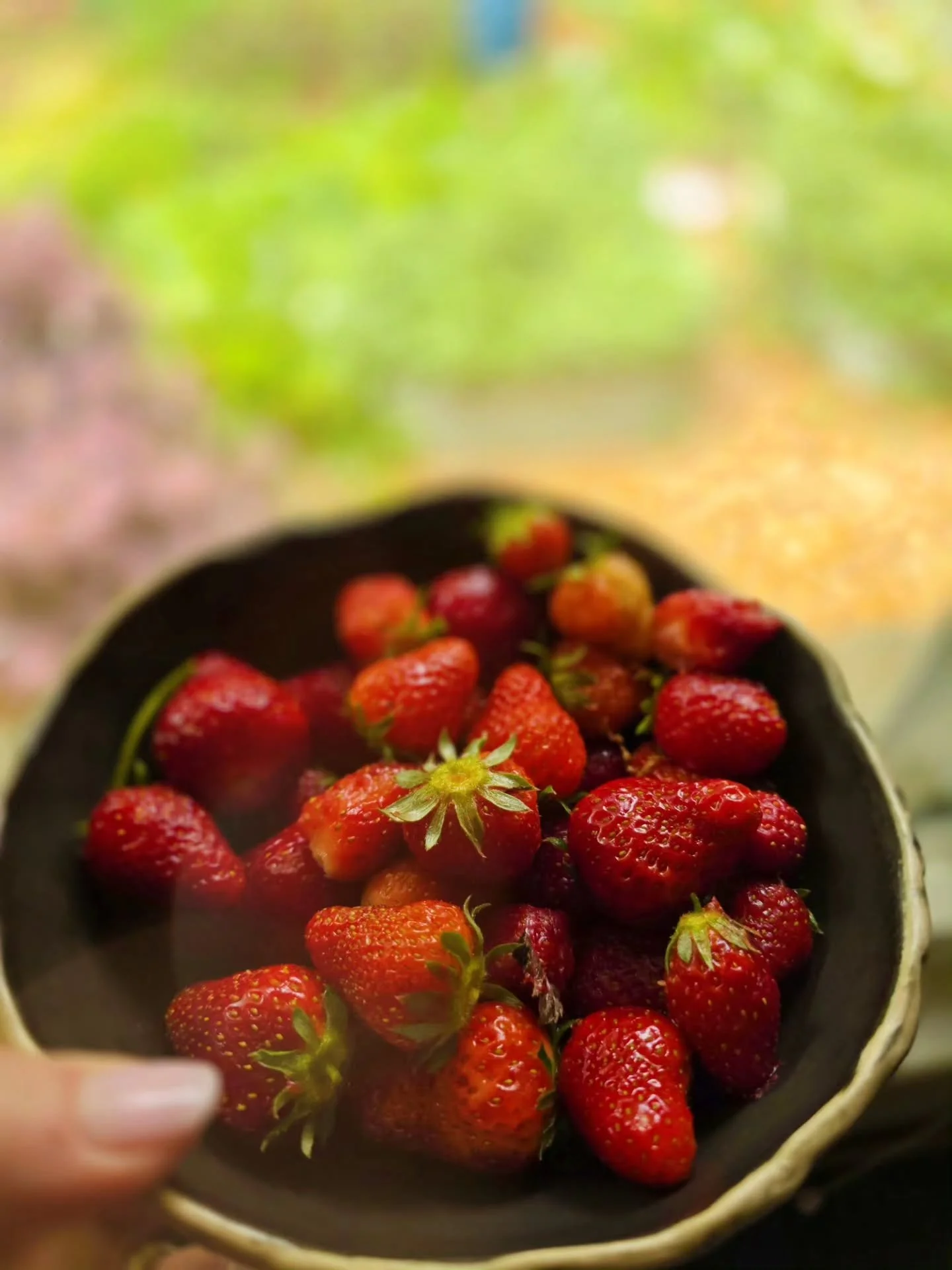 I grew strawberries! Right outside my bedroom window 🌱🍓

I will say, this is some of the easiest food I've ever grown The last picture shows where it started a year ago and I can't believe how much these plants have grown in the last year! 

Where 
