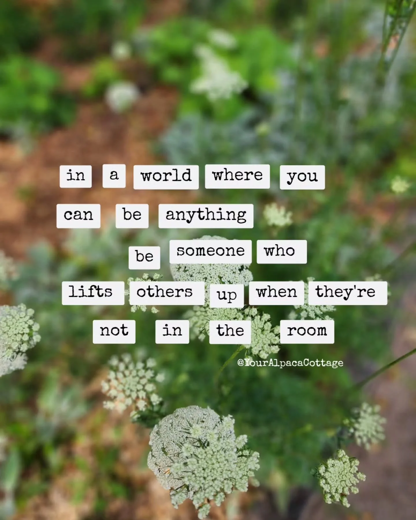 Lifting one another up takes almost no effort yet the benefits are significant. Be that person, the one who shares the spotlight, gives credit where it is due, and creates community over competition.

How about starting by giving someone a shout out 