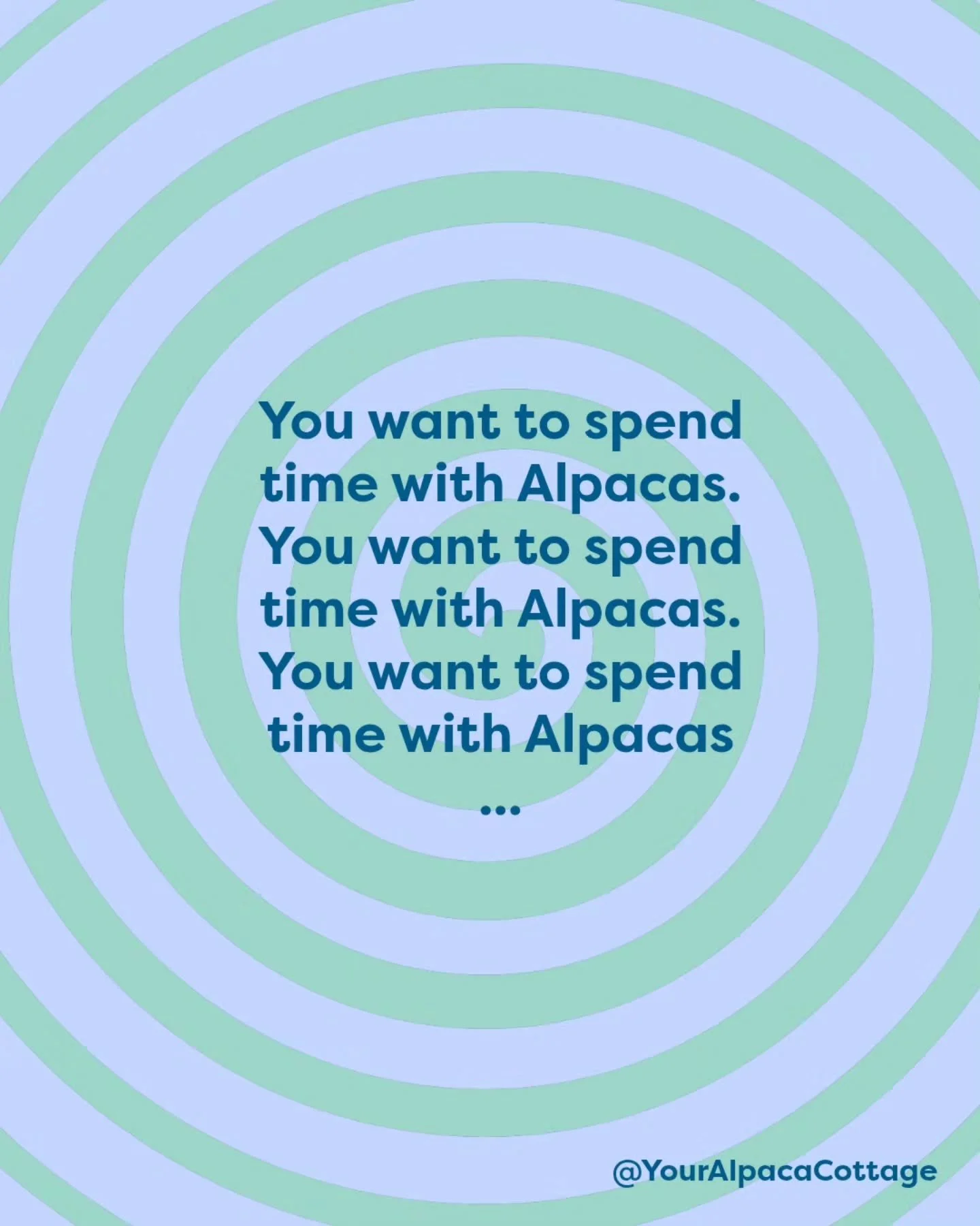 You know you want to ... comment 'Getaway' and I'll send you the details you need to make your Alpaca dreams come true! ✨

#YourAlpacaCottage
#AlpacaSanctuary
#Alpaca #Airbnb
#AlpacasInclusionActivism
⁣