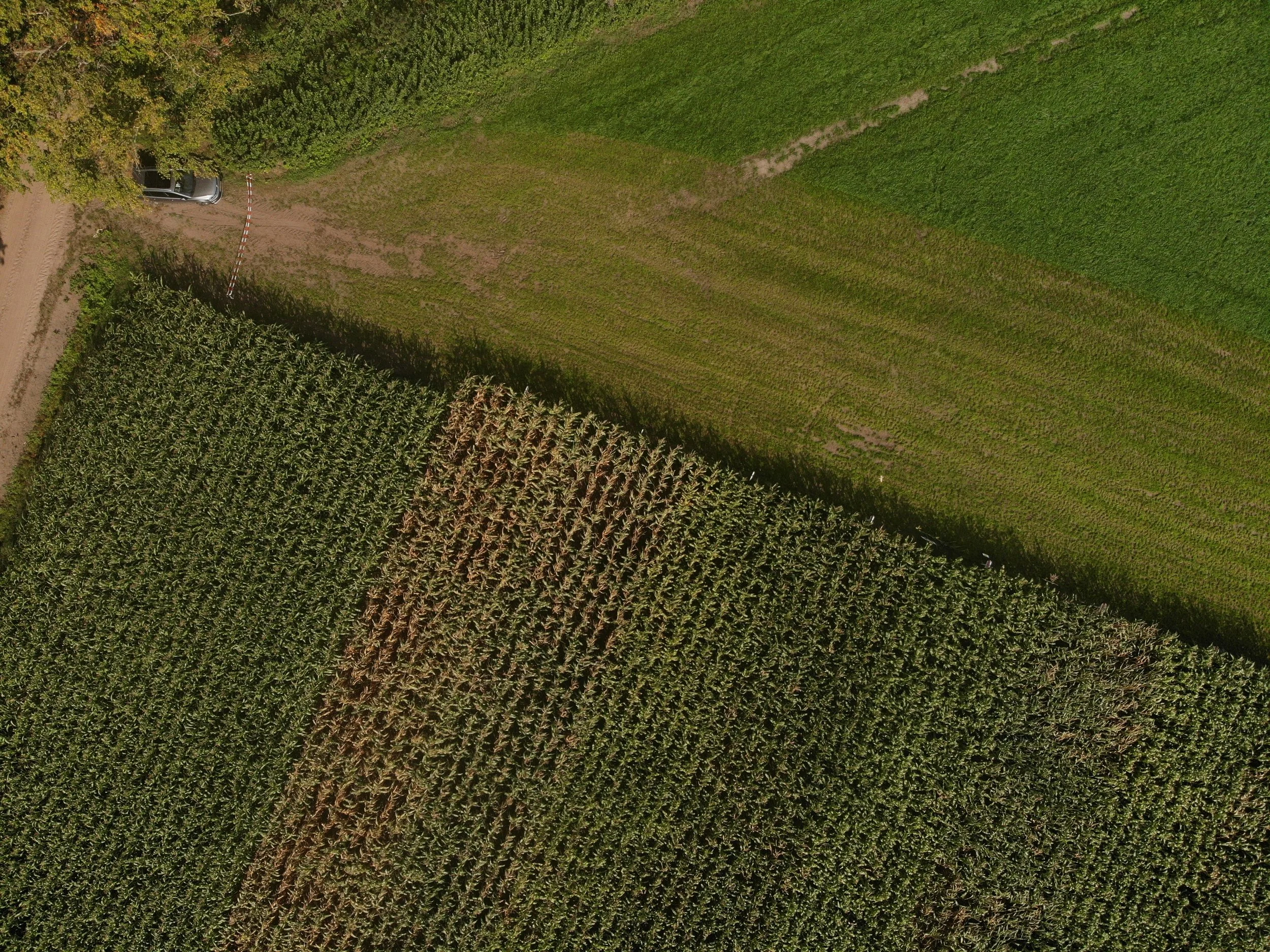 DJI_0267.JPG