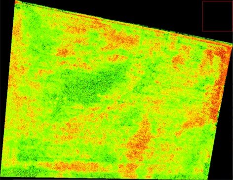 Figure (9): Maize2 VARI index from drone, green high density maize, red dry maize 