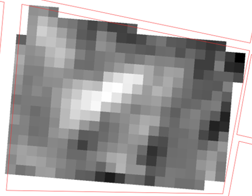 Figure (11): Maize2 NDVI index from Sentinel2, White high density maize, Black dry maize 