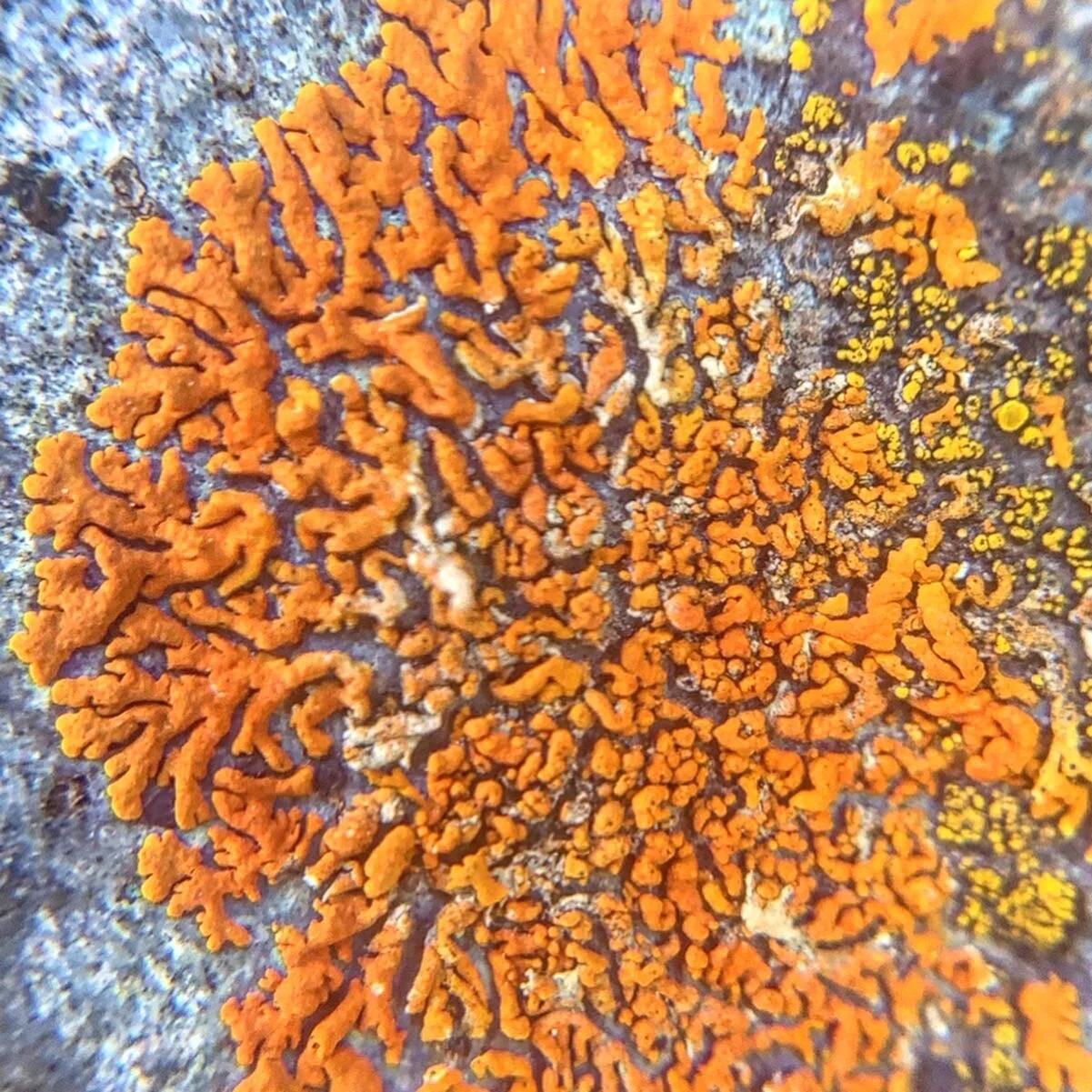 A Declaration of Interdependence 