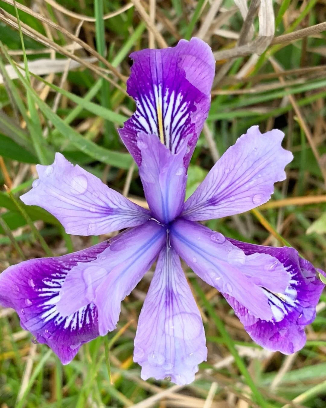 The ability to love and ask questions