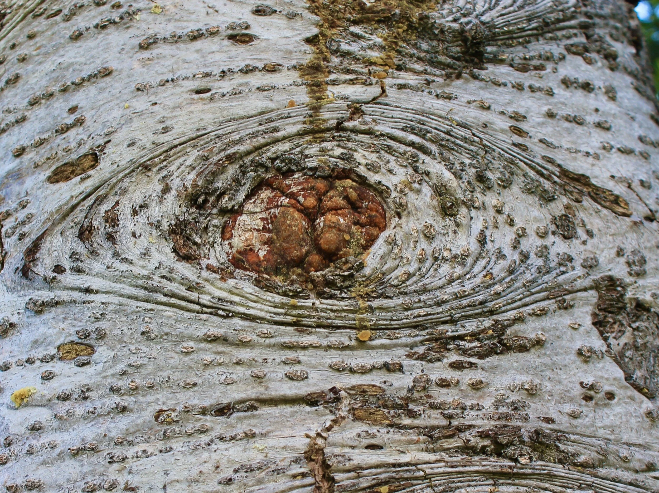 Guides at the crossroads