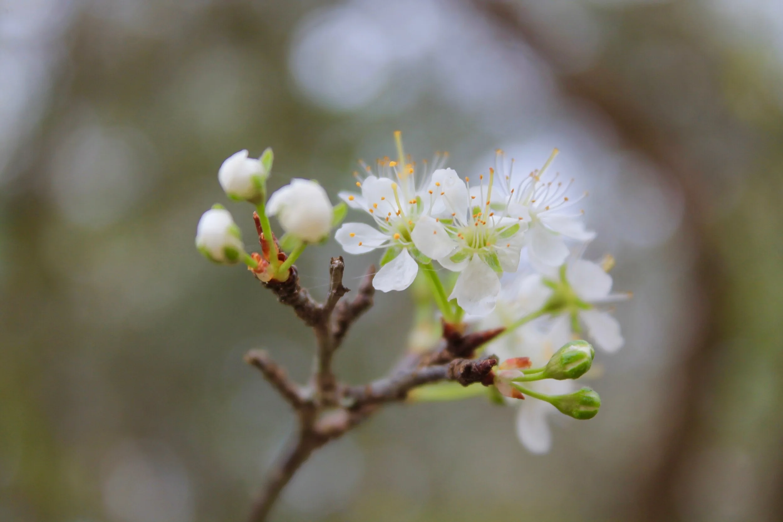 Finding strength to pray