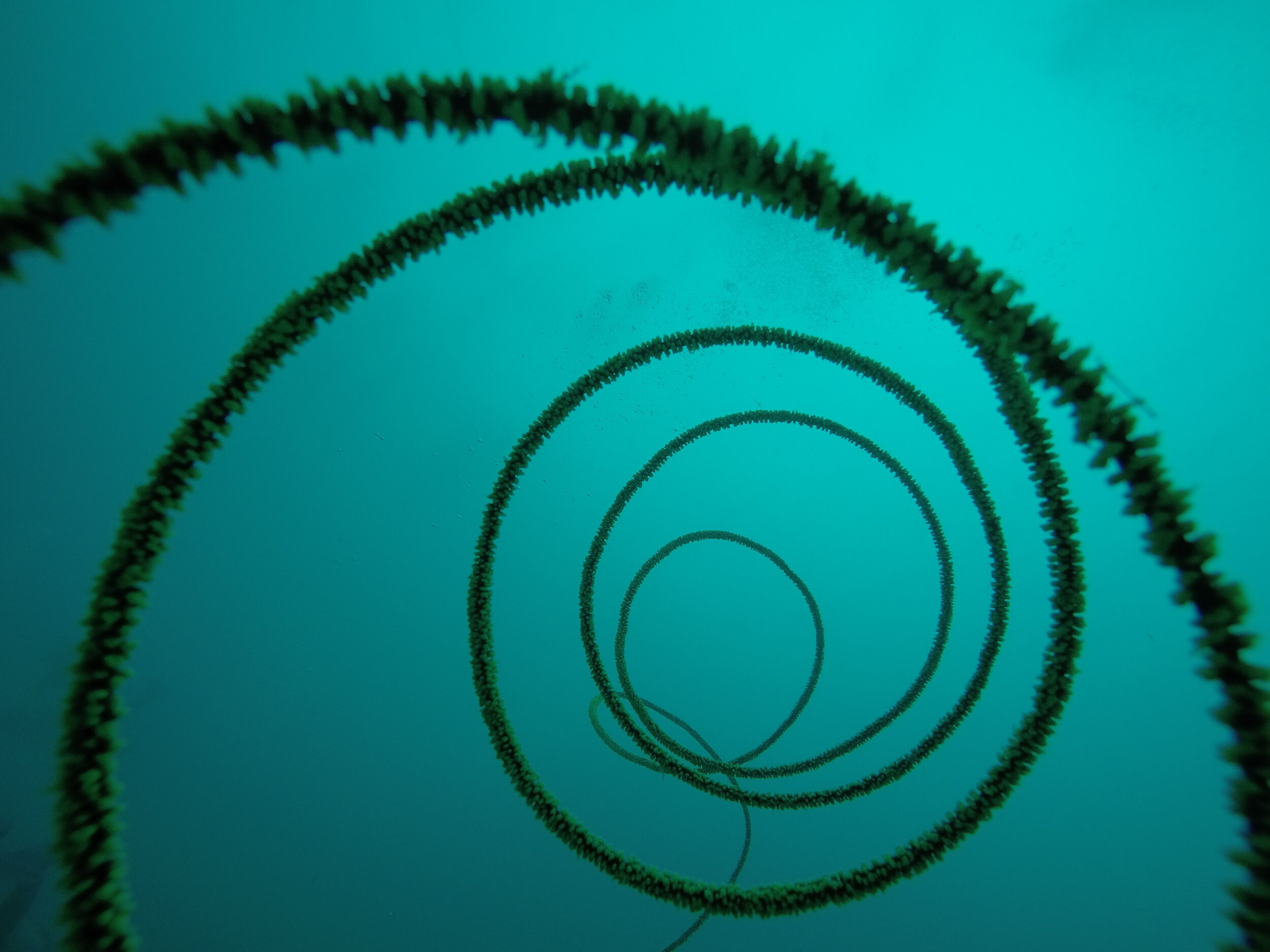 A place beyond words 