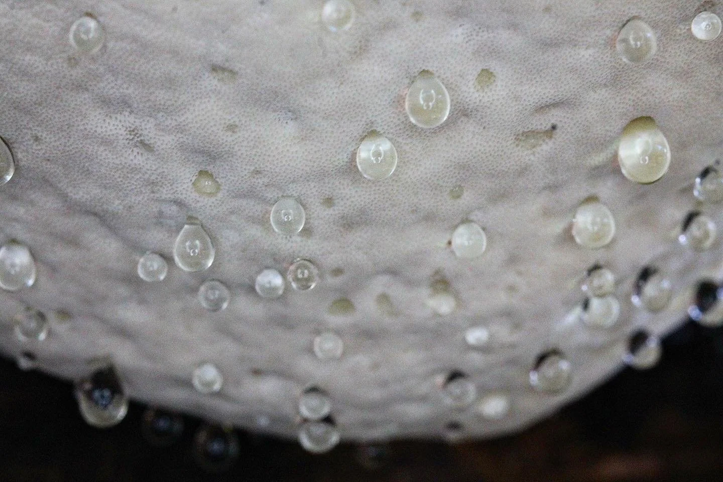 God lives in a droplet 
