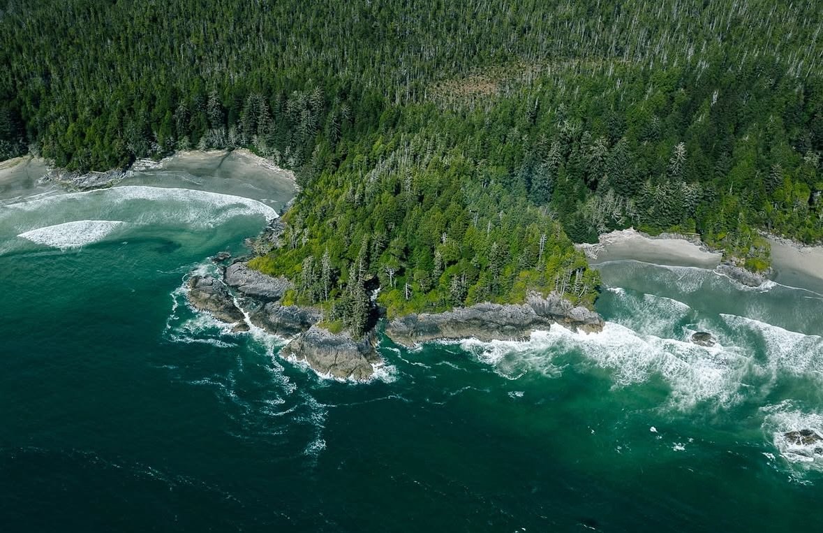Epic Pharmacy is proud to support @clayoquot.action with a cash donation for their important work protecting wild salmon and the ecosystems of Clayoquot Sound. 🐟💙⁠⁣
⁠⁣
Their latest documentary, Salmon Secrets (directed by @jeremy_mathieu_photograph