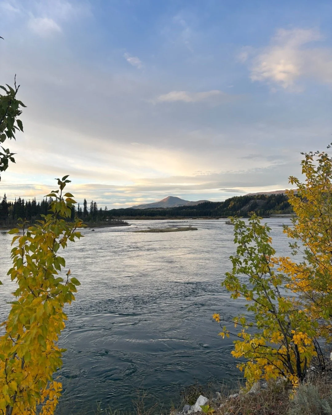 Happy Thanksgiving from Epic Pharmacy 🍁

We're endlessly grateful for a community that supports us and for the enriching land that we get to live, work, and wander on, thanks to the Indigenous stewards who have cared for it for generations. 🧡 

We&